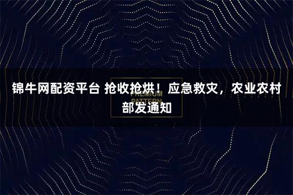 锦牛网配资平台 抢收抢烘!应急救灾,农业农村部发通知