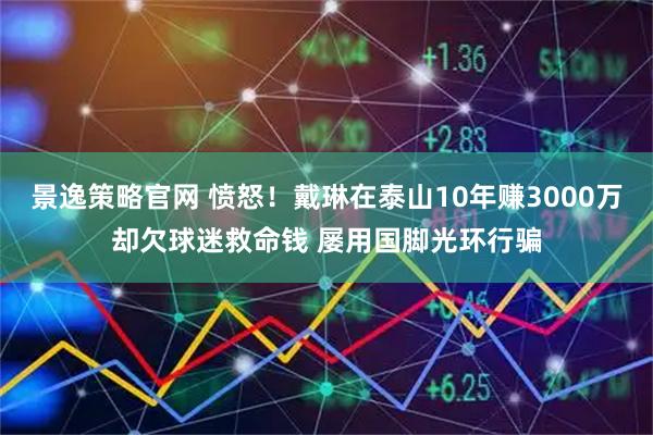 景逸策略官网 愤怒！戴琳在泰山10年赚3000万却欠球迷救命钱 屡用国脚光环行骗