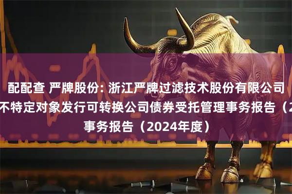 配配查 严牌股份: 浙江严牌过滤技术股份有限公司2024年向不特定对象发行可转换公司债券受托管理事务报告（2024年度）