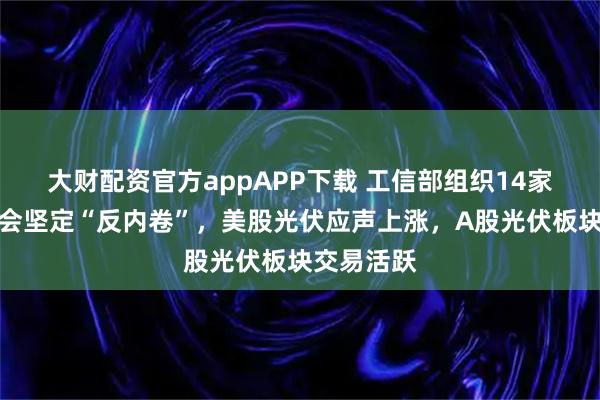 大财配资官方appAPP下载 工信部组织14家光伏座谈会坚定“反内卷”，美股光伏应声上涨，A股光伏板块交易活跃