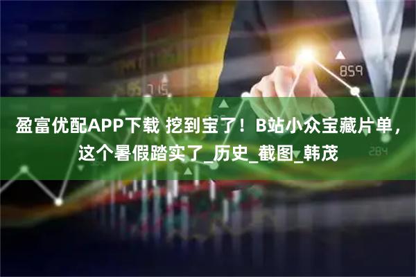 盈富优配APP下载 挖到宝了！B站小众宝藏片单，这个暑假踏实了_历史_截图_韩茂