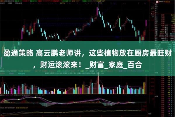 盈通策略 高云鹏老师讲，这些植物放在厨房最旺财，财运滚滚来！_财富_家庭_百合